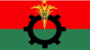 বাংলাদেশ জাতীয়তাবাদী দল (বিএনপি)। প্রতীকী ছবি।