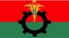 বাংলাদেশ জাতীয়তাবাদী দল (বিএনপি)। প্রতীকী ছবি।