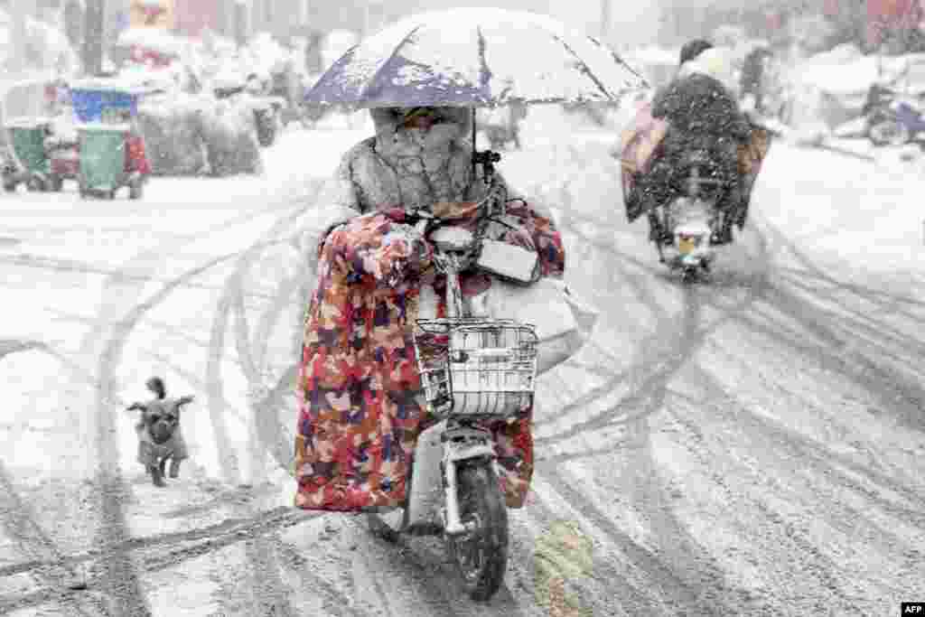 A woman rides her scooter as a dog chases her during heavy snowfall in Huai&#39;an, in eastern China&#39;s Jiangsu province.
