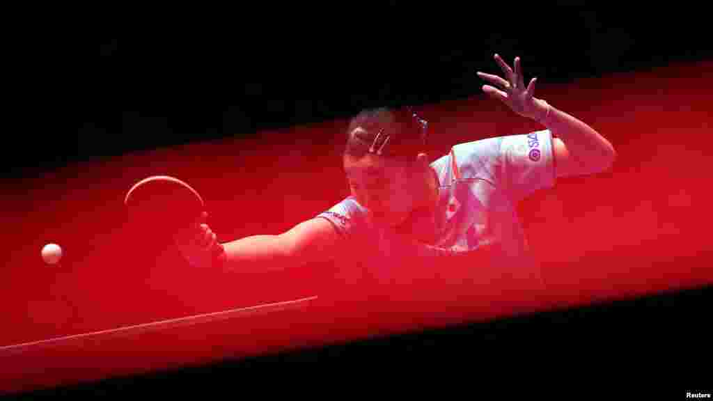 Japan's Miwa Harimoto in action during her women's singles semifinal match against Hong Kong's Doo Hoi Kem during the World Team Table Tennis Championship in Busan, South Korea. 