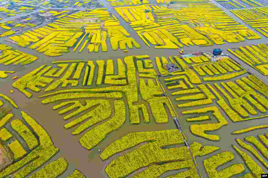 An aerial view shows people visiting a rapeseed garden in Xinghua, in eastern China&#39;s Jiangsu province.