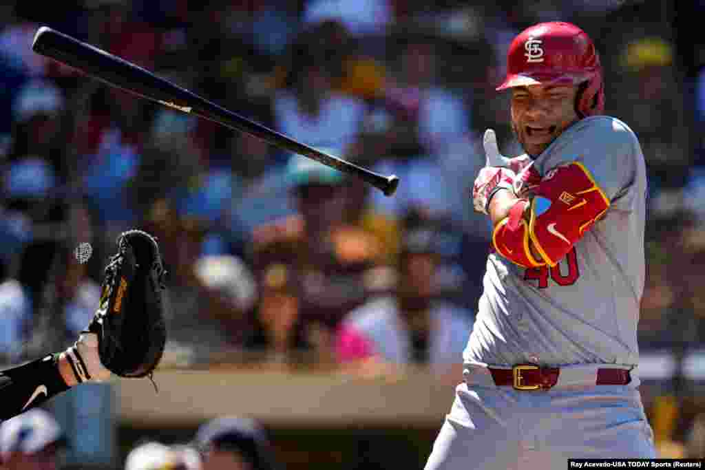 Louis Cardinals designated hitter Willson Contreras (40) reacts after being hit by a pitch during the sixth inning against the San Diego Padres at Petco Park in San Diego, California, April 3, 2025. 