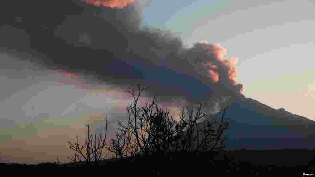 Popocatepetl volcano spews a column of ash and smoke as authorities declare a yellow alert after an increase in volcanic activity, as seen from Santiago Xalitzintla, in the state of Puebla, Mexico, Feb. 22, 2024.