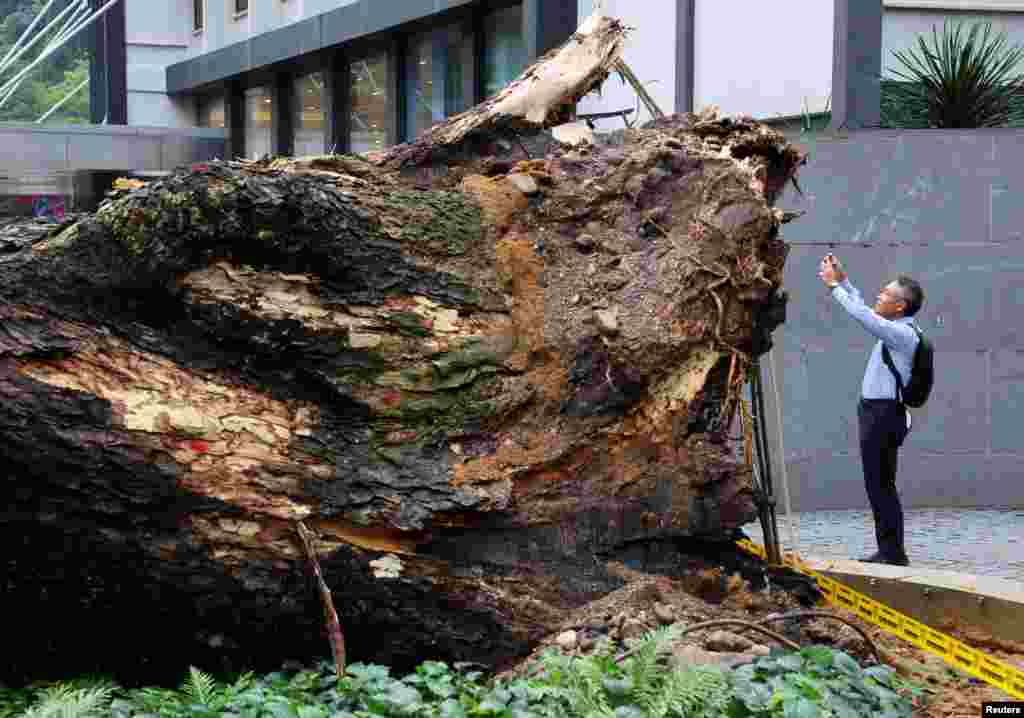A man takes a picture of a tree fallen across Jalan Sultan Ismail, one of Kuala Lumpur&#39;s busiest roads smashing multiple cars and disrupting monorail service, in Kuala Lumpur, Malaysia.