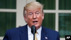 President Donald Trump speaks during an event about the census in the Rose Garden at the White House in Washington, Thursday, July 11, 2019. (AP Photo/Carolyn Kaster)
