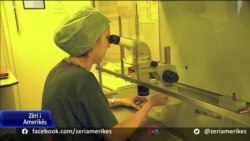Udhëzime të reja për përdorimin e qelizave embrionale