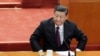 时事大家谈:习近平新时代元年大起大落