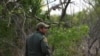 Un agente de la Patrulla Fronteriza de EE.UU. busca a migrantes indocumentados que cruzaron ilegamente la frontera desde México, cerca de Peñitas, Texas. Abril 8 de 2019.