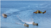Las naves de aterrizaje y un helicóptero se ven durante el Ejercicio Trident Juncture de la OTAN, en la costa de Trondheim, Noruega, 30 de octubre de 2018.