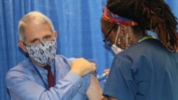 Dr. Anthony Fauci