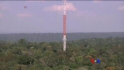 အမေဇုံသစ်တော စောင့်ကြည့်ရေး မျှော်စင်