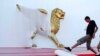 En esta edición del prestigioso festival, el director y guionista español Pedro Almodóvar recibirá el León de Oro a su trayectoria.