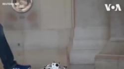 Le robot à quatre pattes du MIT
