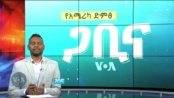 ጋቢና ቪኦኤ