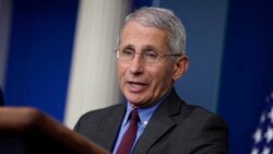 Dr. Anthony Fauci