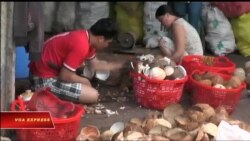 Truyền hình vệ tinh VOA 8/9/2017