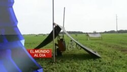 El Mundo al Día
