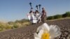 Piden a EE.UU. que comparta datos ADN para buscar a migrantes